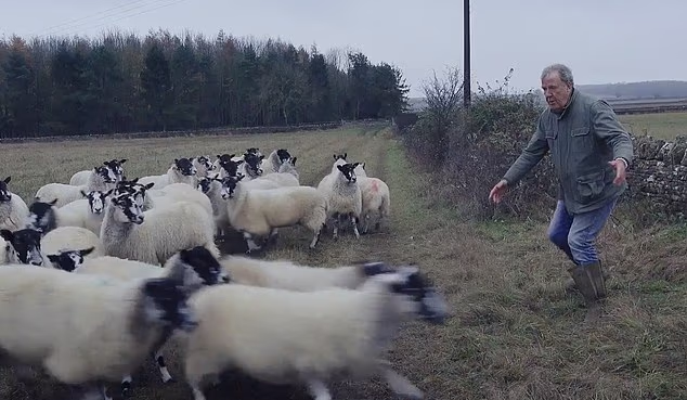 Jeremy Clarkson says 11 of the easycare breed sheep from his Diddly Squat farm have been stolen