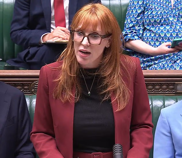 Angela Rayner today halted Labour's shake-up of local authorities
