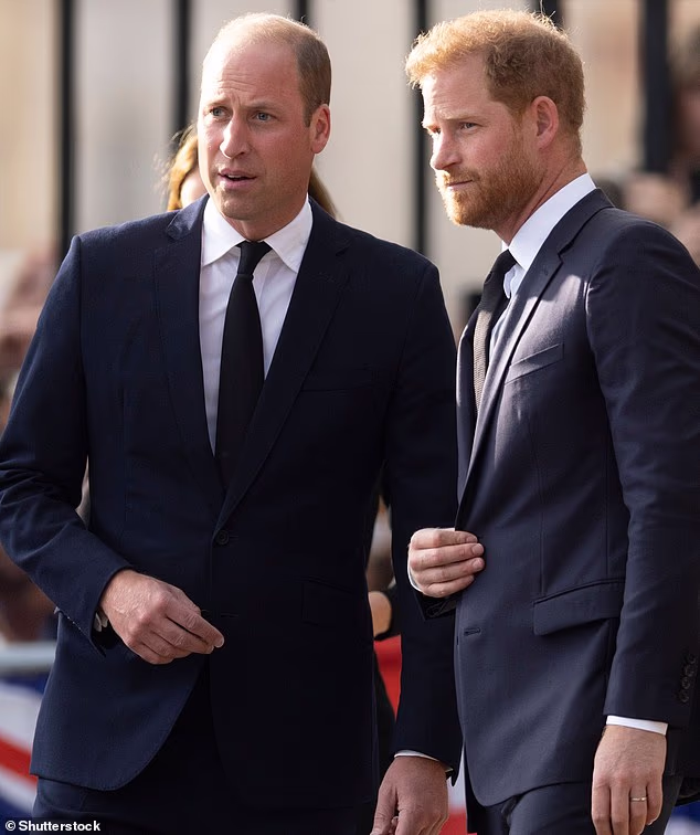 According to body language expert Judi James , the 'body language cues and subliminal rituals between Harry and his brother often shows signs of a synchronicity of spirit'