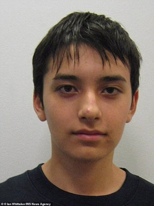 Pictured: 14-year-old Jerome Ellis. Their victim was no stranger to them – Mr Tulley was their mother’s partner and at the time they were all living together as a family
