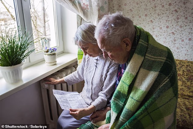 Households face more cost-of-living misery this winter after the cap on energy bills regulator was hiked by 4 per cent (Stock photo)
