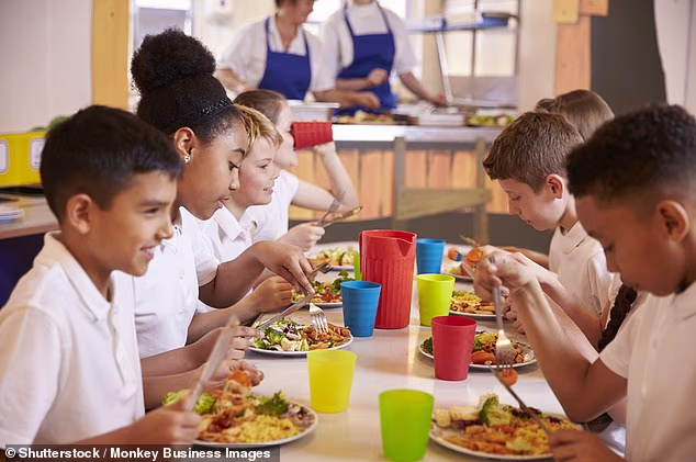 School lunch classics like fish and chips will be overhauled as part of a Government war on childhood obesity (file image)