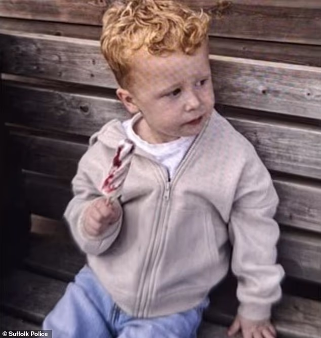 Noah, three, vanished after becoming separated from a relative in Merriam Close, Brantham, on Tuesday afternoon