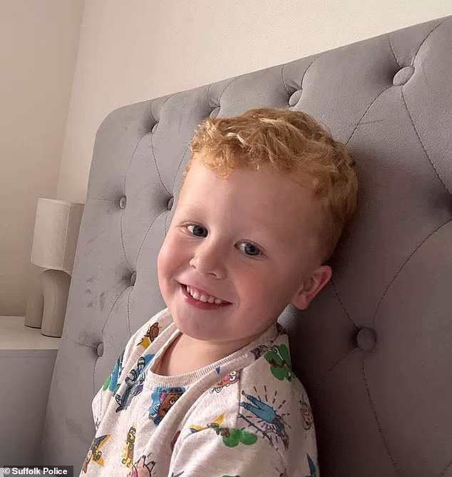 Hundreds of members of the public had joined the search to find three–year–old Noah Woods, who went missing after visiting a playground in Suffolk