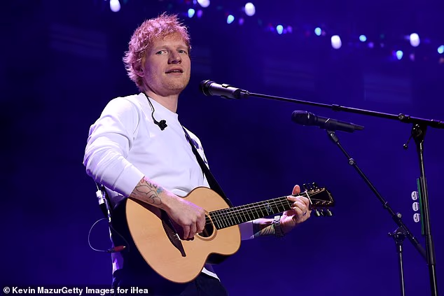 Ed Sheeran fans have vowed to support the star as they argued he 'shouldn't be blamed'