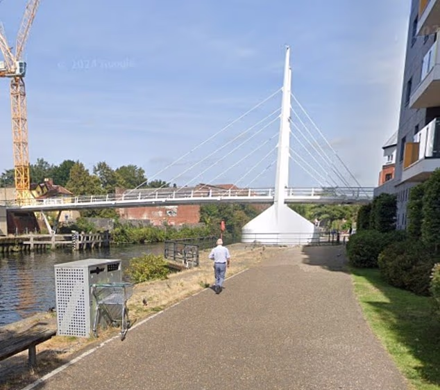 Police were called to Novi Sad bridge, which is located close to Norwich City's Carrow Road, at around 12.40pm on Tuesday (file image)