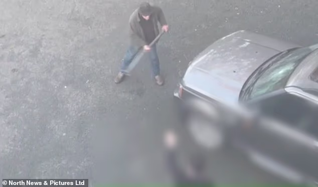 An 80-year-old military historian was caught smashing his neighbours' cars with a scaffolding pole after a lengthy feud over parking spaces