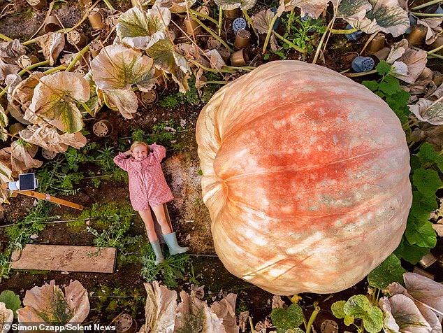 Posing cheerfully, it's clear five-year-old Etta Syrett is proud of the marvelous pumpkin her grandfather, Ian Paton, has grown in Lymington in Hampshire