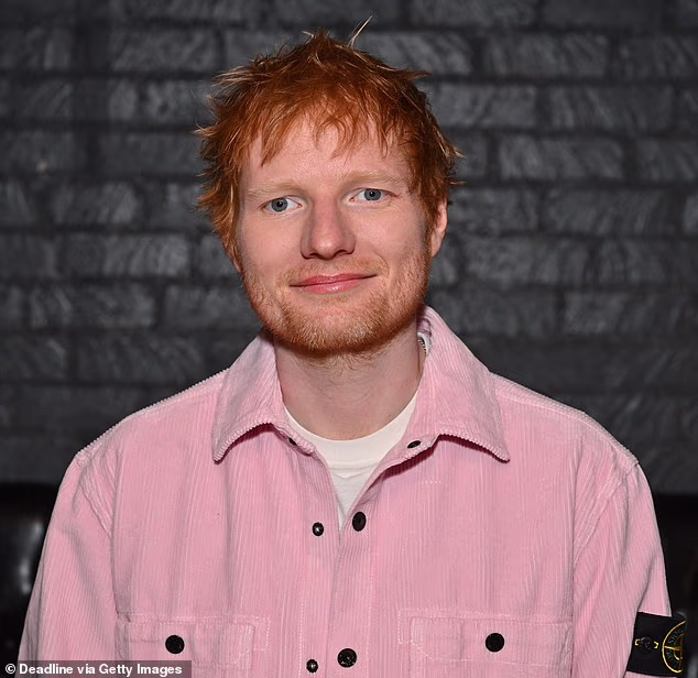 Ed Sheeran's Philadelphia concert was bombarded by protestors on Saturday night as he prepared to take the stage; pictured in January