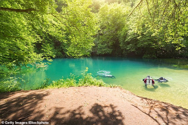The 43-year-old Briton was found on Sunday after he disappeared during a Friday dive in the Saint-Sauveur chasm in southwestern France (pictured)
