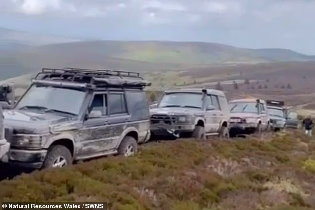 A trio of yobs who damaged Berwyn Site of Special Scientific Interest in Wales by driving their 4x4s were caught out by their own TikTok videos