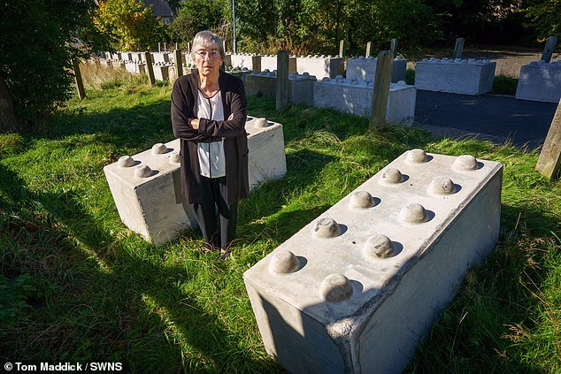 Helene Ball, who won a £50,000 battle with council chiefs over access to her home is facing a fresh fight after giant 'Lego' blocks were dumped outside