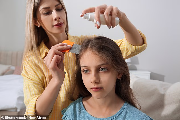 Derbac M, a popular head lice treatment, contains malathion - a toxic chemical that has now been linked to breast cancer