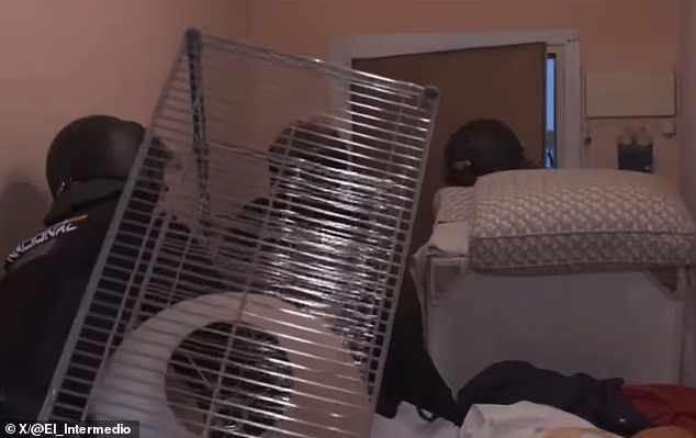 Dramatic footage shows Spanish riot police forcing their way into an 87-year-old woman's Madrid flat after supporters piled furniture against the door to stop her eviction