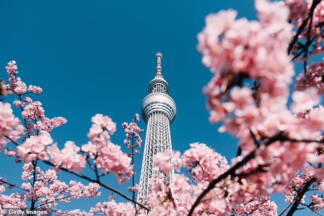 Tokyo's shrugged off its reputation as a pricey destination, with the Post Office's new research saying it's possible to buy a bowl of ramen for less than £7