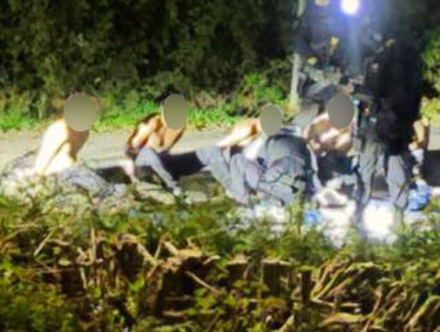 Hero farmer who alerted cops to RAF terror threat reveals how she stumbled upon 'five balaclava-clad men' after driving home from party - despite Trump claiming group were being watched