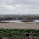 Cutacre Country Park to host a run day to make you feel good