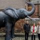 Ex Middlesbrough defender and families backing heading campaign