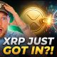 Ripple XRP: Just Reached The Fed's Instant Payment Network?! (BOMBSHELL)