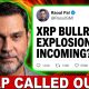 RAOUL PAL JUST CALLED OUT XRP CHART!!! (''XRP BULLRUN EXPLOSION'')