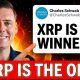CHARLES SCHWAB: ''XRP IS THE ONE AND ONLY WINNER''?!!