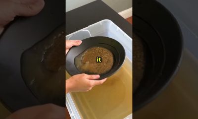 I Bought $25 Dirt to Find Gold