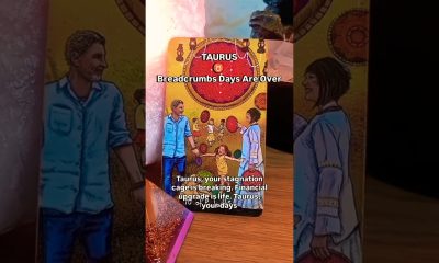 Taurus, expect a major financial upgrade now! #taurus #tarot #financialfreedom #shorts #spirituality