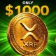 XRP RIPPLE JUST LAUNCHED $1000 XRP !!!?