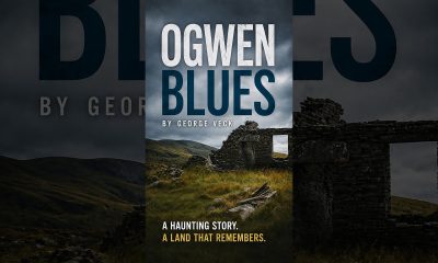 Plum Wine and Nailed On Financial Security... | A North Wales based Crime Fiction Audiobook