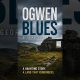 Plum Wine and Nailed On Financial Security... | A North Wales based Crime Fiction Audiobook