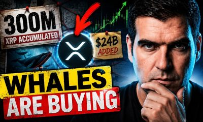 XRP Whales See Something Coming...