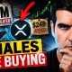 XRP Whales See Something Coming...