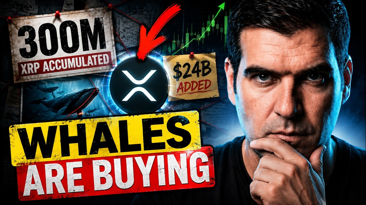 XRP Whales See Something Coming...