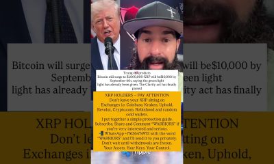 #xrpcommmunity #cryptocurrency #xrp #xrpnews #xrparmy #xrpripple #cryptonews #usareels #trump #fyp