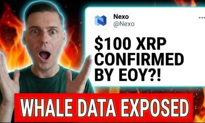 $100 XRP BY DECEMBER??? (WHALES ARE POSITIONED)