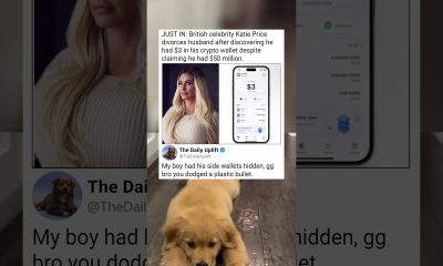 Unique couple crypto financial story.