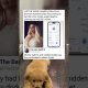 Unique couple crypto financial story.