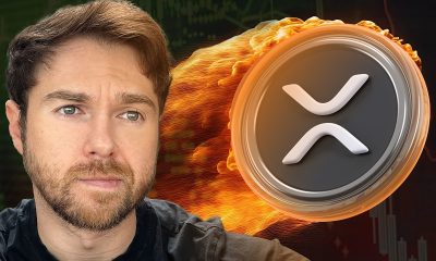 Ripple Explained: What You Need to Know About XRP, RLUSD, and Ripple’s $25M Power Play