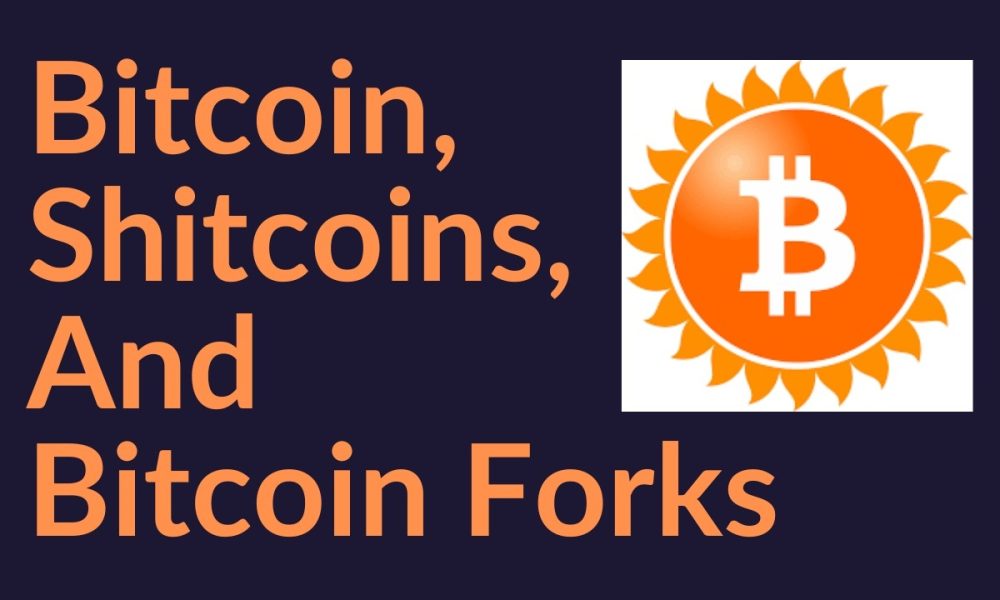 Bitcoin, Shitcoins, And Bitcoin Forks