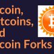 Bitcoin, Shitcoins, And Bitcoin Forks