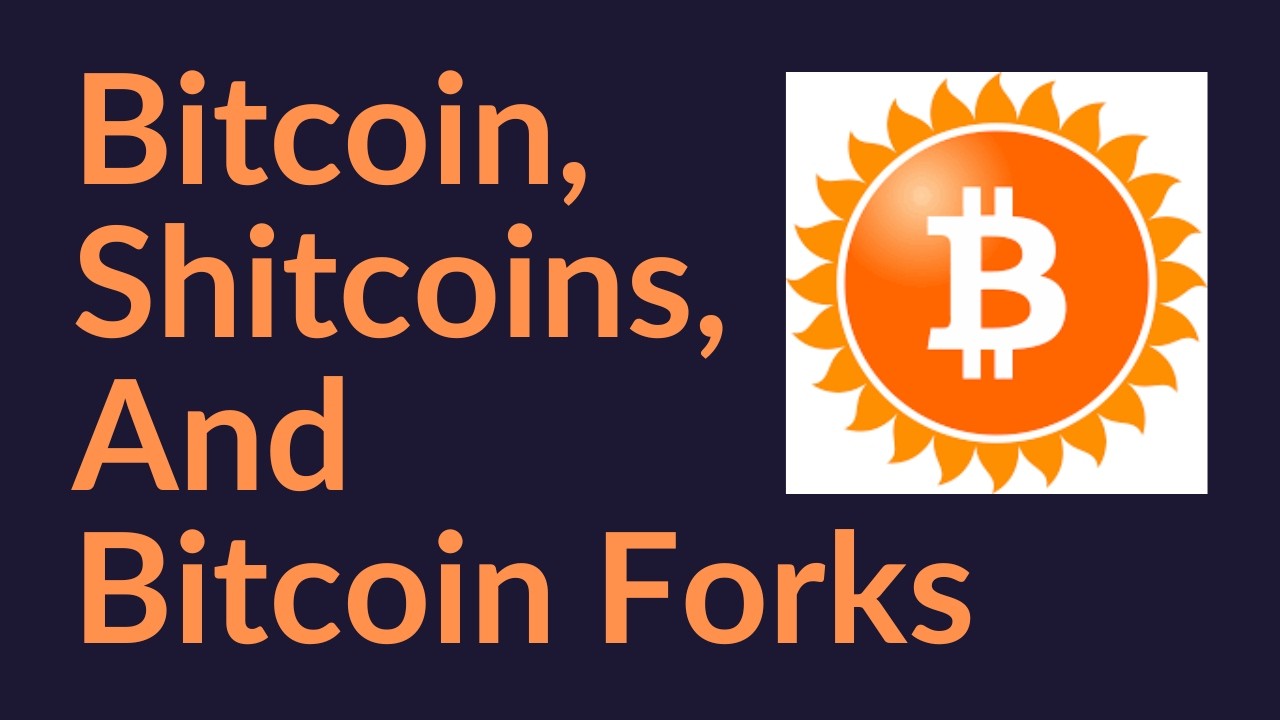 Bitcoin, Shitcoins, And Bitcoin Forks
