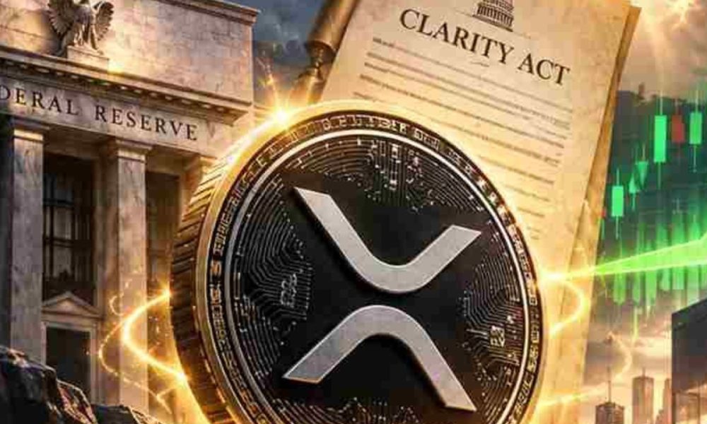 XRP CLARITY ACT WTF !!! CLARITY ACT GOD CANDLE !!? XRP FOMO CONFIRMED !!!