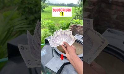 #money #ihavethisthingwithplants #minivlog #whowillbemylifepartner#lifeisbutadream #viral #comedy