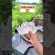 #money #ihavethisthingwithplants #minivlog #whowillbemylifepartner#lifeisbutadream #viral #comedy