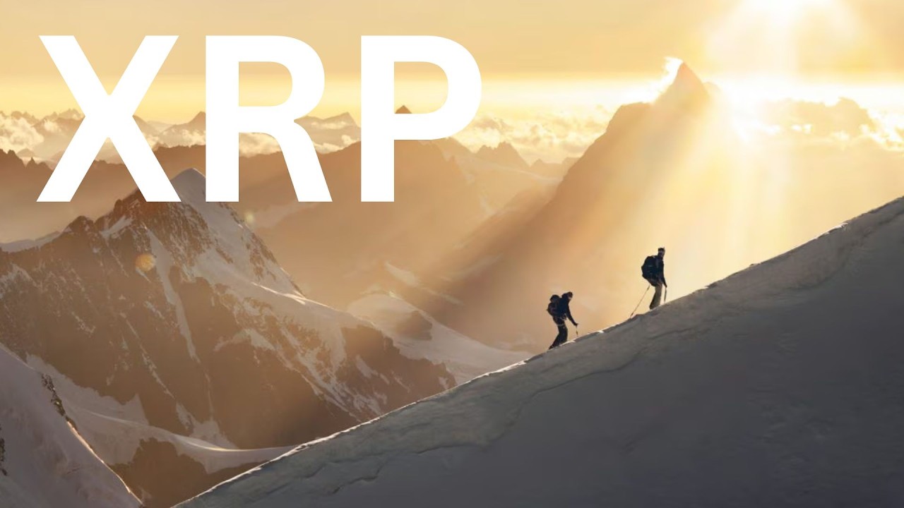 XRP TODAY TODAY TODAY TODAY TODAY TODAY !!!!
