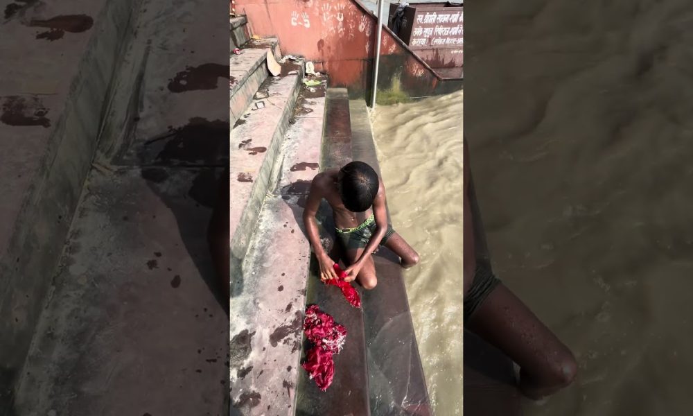 Dangerous Treasure Came Floating from Nepal!  #viral #gangariver #reels #money #gangaghat  #viral