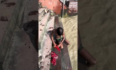 Dangerous Treasure Came Floating from Nepal!  #viral #gangariver #reels #money #gangaghat  #viral