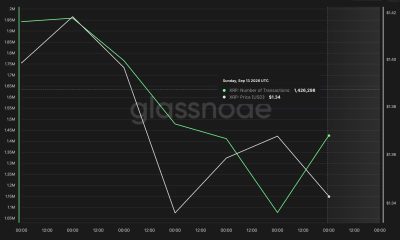 The XRPL is in the news after processing a record 3.2K TXs in ledger 106,965,249 yesterday, but 2,000 of those came from just 20 wallets.