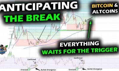 Awaiting THE BREAK as Bitcoin Price Chart, Altcoin Market and XRP in a Holding Pattern Under 50-Week