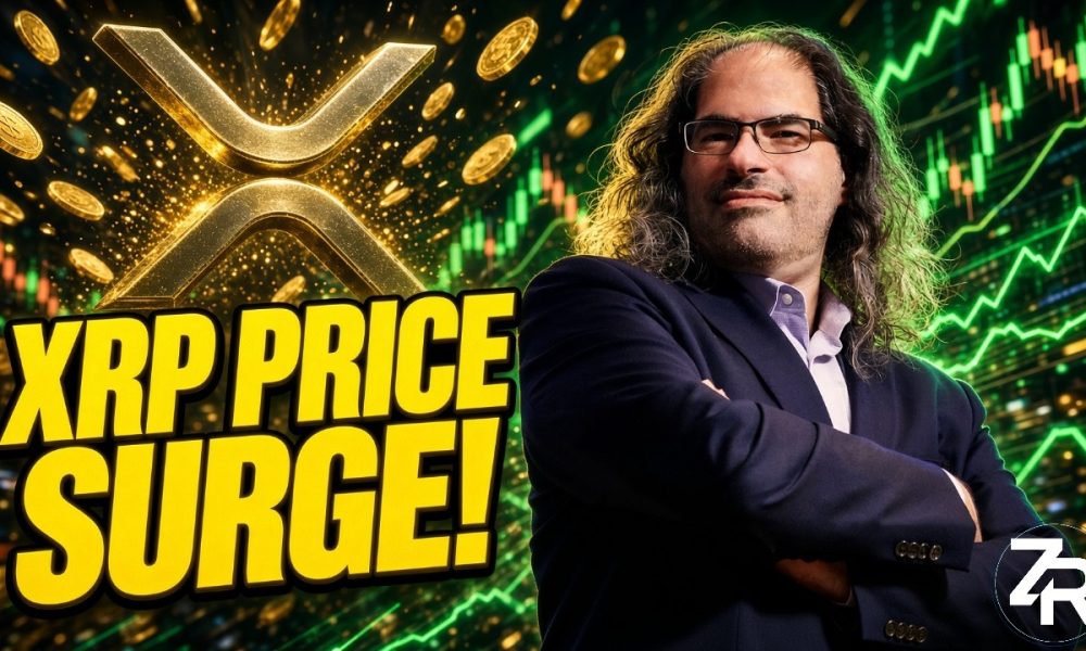 David Discusses XRP Price SURGE!